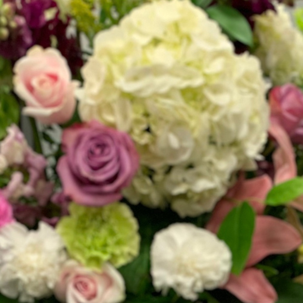 Meet your Posher, Lizzie